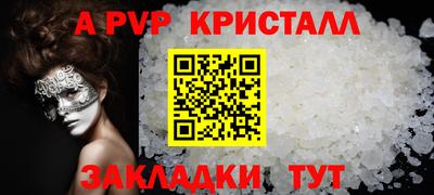твердый Кингисепп