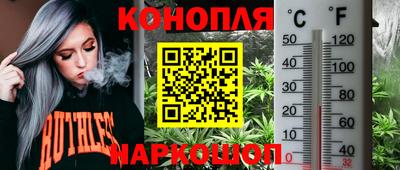 твердый Кингисепп
