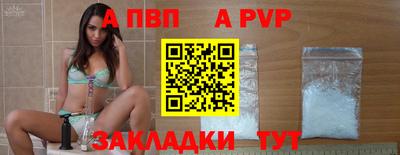 твердый Кингисепп